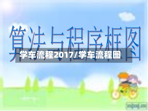 学车流程2017/学车流程图
