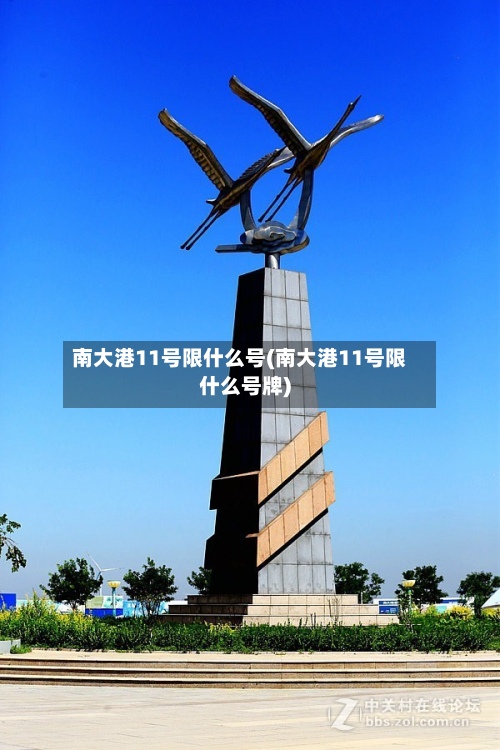 南大港11号限什么号(南大港11号限什么号牌)-第2张图片