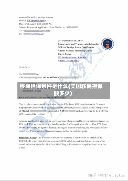 移民担保条件是什么(美国移民担保额多少)-第2张图片