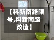 【科新南路限号,科新南路改造】-第2张图片