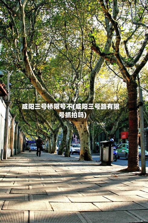 咸阳三号桥限号不(咸阳三号路有限号抓拍吗)