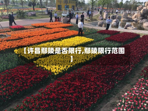 【许昌鄢陵是否限行,鄢陵限行范围】-第2张图片