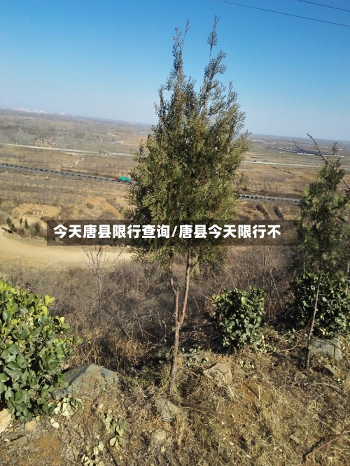 今天唐县限行查询/唐县今天限行不-第2张图片