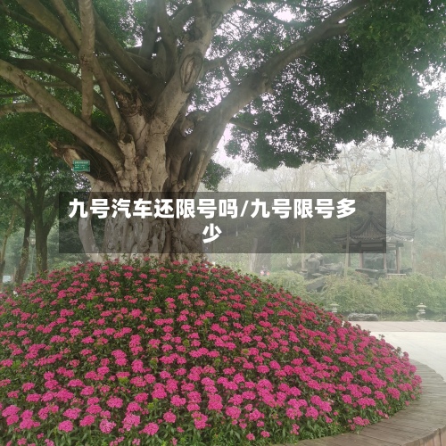 九号汽车还限号吗/九号限号多少-第3张图片