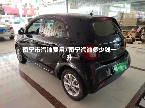南宁市汽油费用/南宁汽油多少钱一升