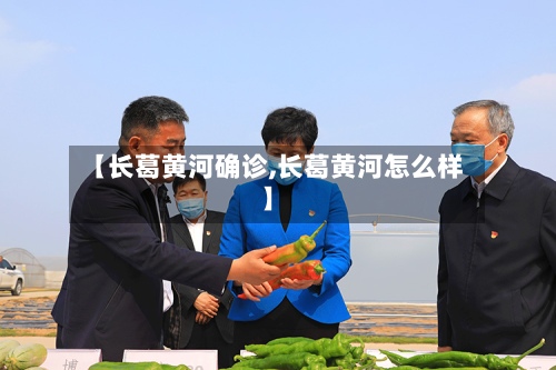 【长葛黄河确诊,长葛黄河怎么样】