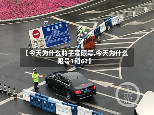 【今天为什么豹子号限号,今天为什么限号1和6?】