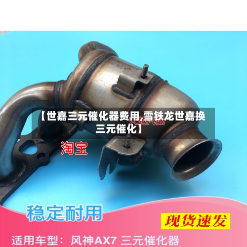 【世嘉三元催化器费用,雪铁龙世嘉换三元催化】