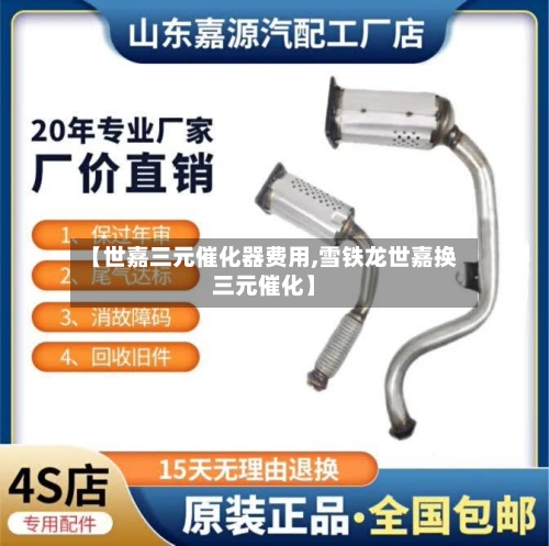 【世嘉三元催化器费用,雪铁龙世嘉换三元催化】-第3张图片