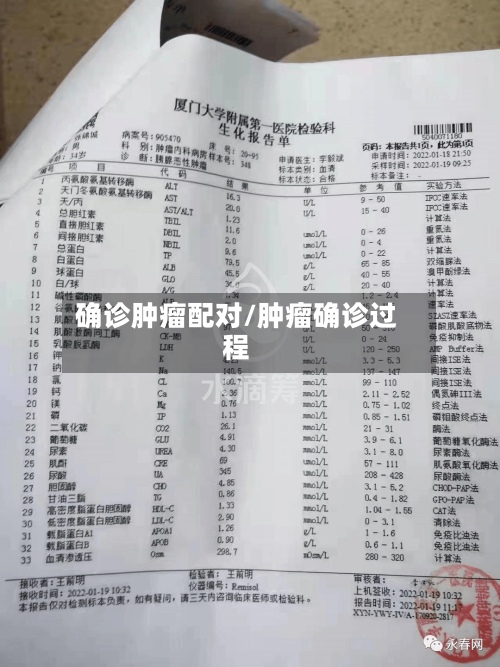 确诊肿瘤配对/肿瘤确诊过程