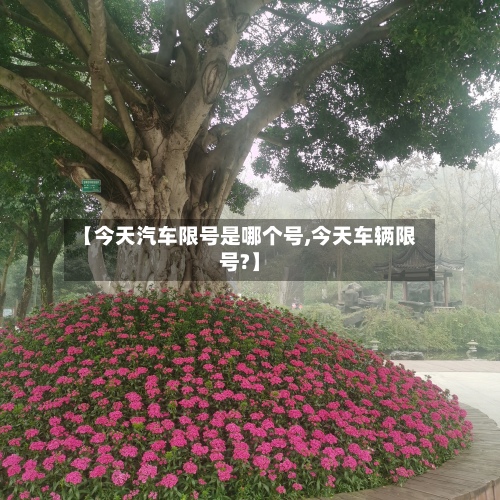 【今天汽车限号是哪个号,今天车辆限号?】-第2张图片