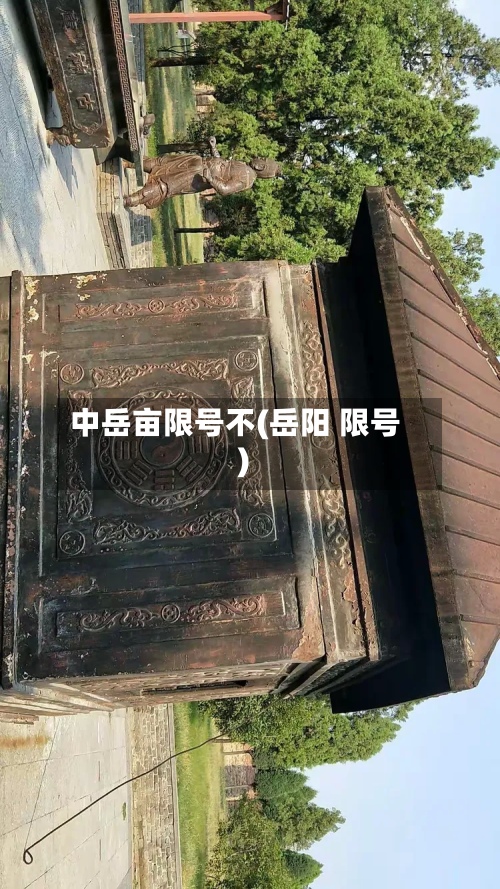 中岳亩限号不(岳阳 限号)-第2张图片