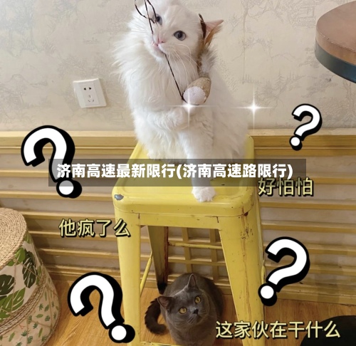 济南高速最新限行(济南高速路限行)