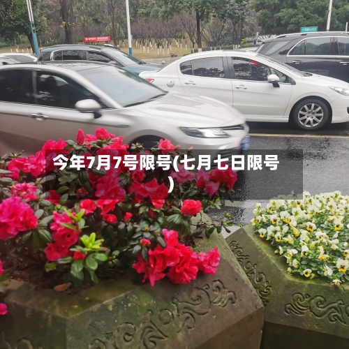 今年7月7号限号(七月七日限号)-第2张图片