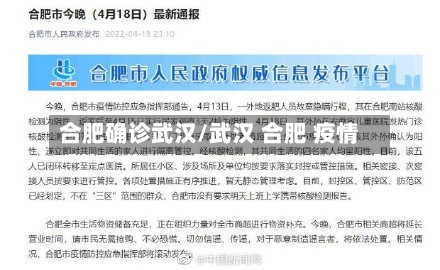 合肥确诊武汉/武汉 合肥 疫情-第2张图片