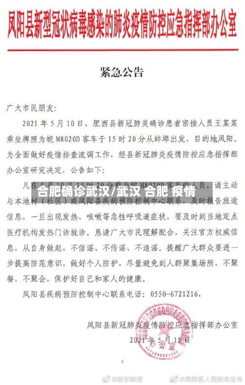 合肥确诊武汉/武汉 合肥 疫情