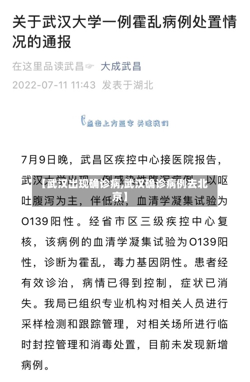 【武汉出现确诊病,武汉确诊病例去北京】-第2张图片