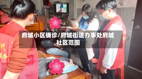 府城小区确诊/府城街道办事处府城社区范围