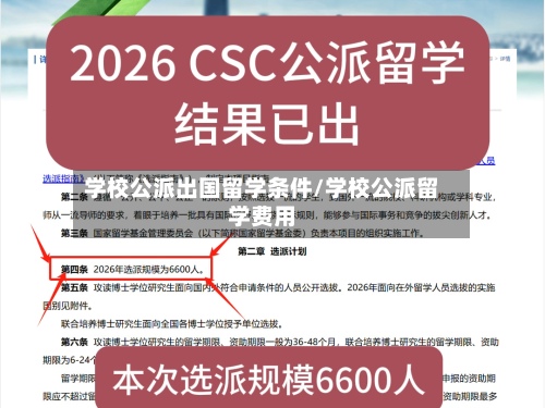 学校公派出国留学条件/学校公派留学费用-第3张图片
