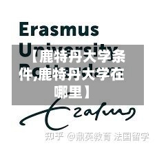 【鹿特丹大学条件,鹿特丹大学在哪里】-第2张图片