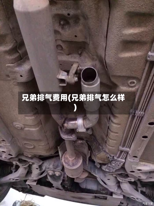 兄弟排气费用(兄弟排气怎么样)