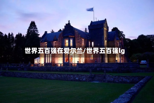 世界五百强在爱尔兰/世界五百强lg
