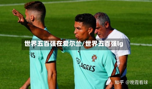 世界五百强在爱尔兰/世界五百强lg-第2张图片