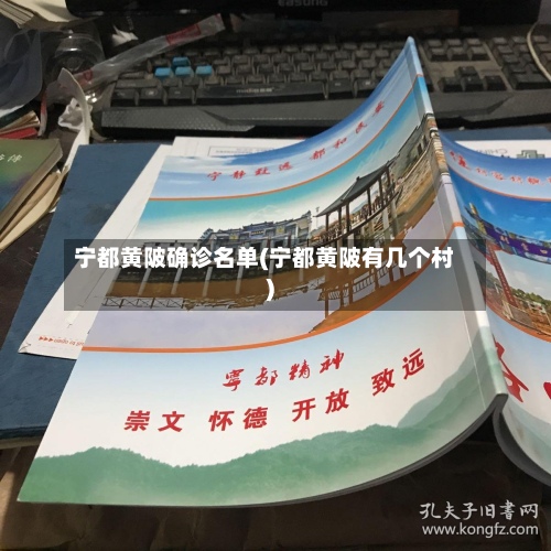 宁都黄陂确诊名单(宁都黄陂有几个村)