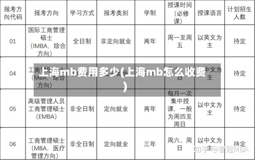 上海mb费用多少(上海mb怎么收费)