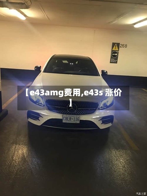 【e43amg费用,e43s 涨价】-第3张图片