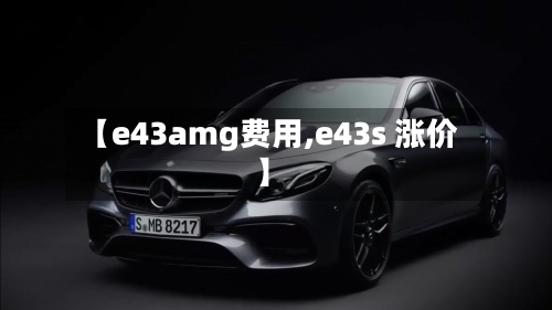 【e43amg费用,e43s 涨价】-第2张图片