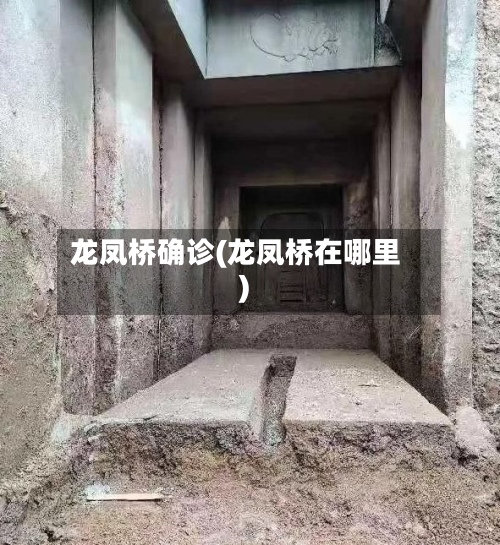 龙凤桥确诊(龙凤桥在哪里)-第2张图片