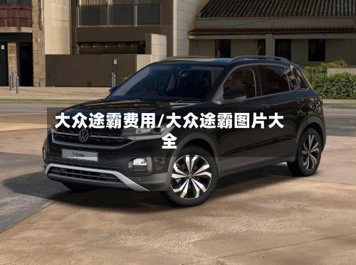大众途霸费用/大众途霸图片大全-第2张图片