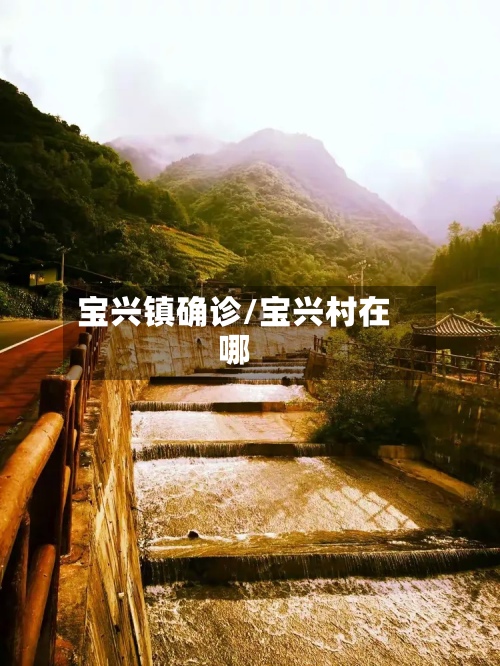 宝兴镇确诊/宝兴村在哪