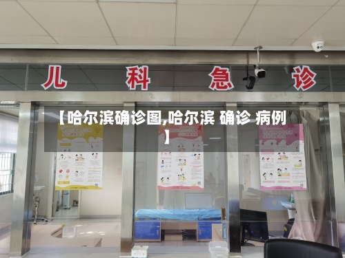 【哈尔滨确诊图,哈尔滨 确诊 病例】-第2张图片