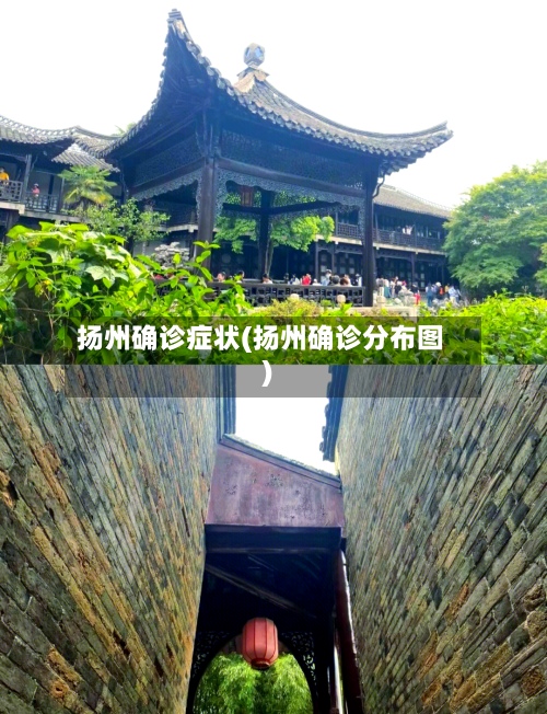 扬州确诊症状(扬州确诊分布图)-第3张图片