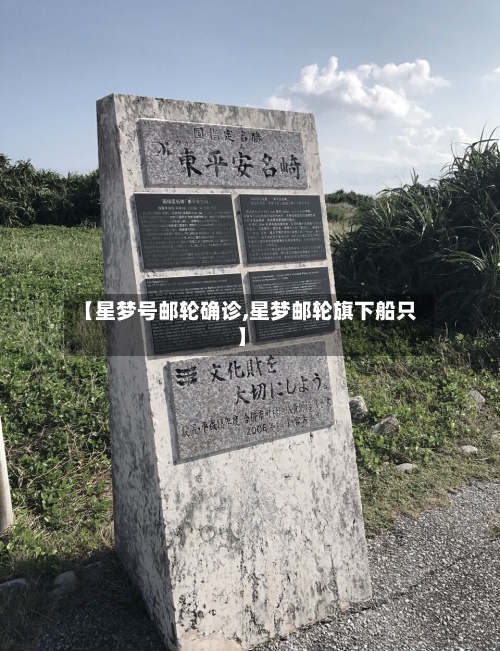 【星梦号邮轮确诊,星梦邮轮旗下船只】