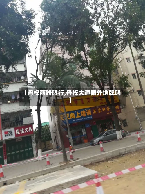 【丹梓西路限行,丹梓大道限外地牌吗】-第3张图片