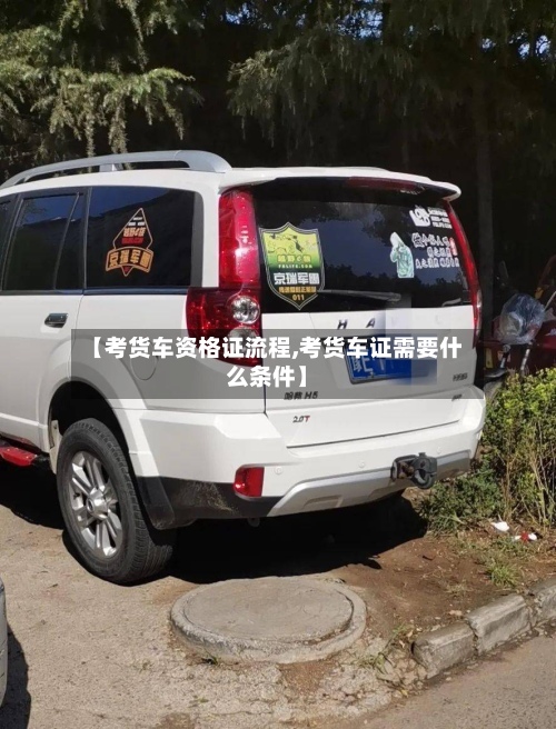 【考货车资格证流程,考货车证需要什么条件】