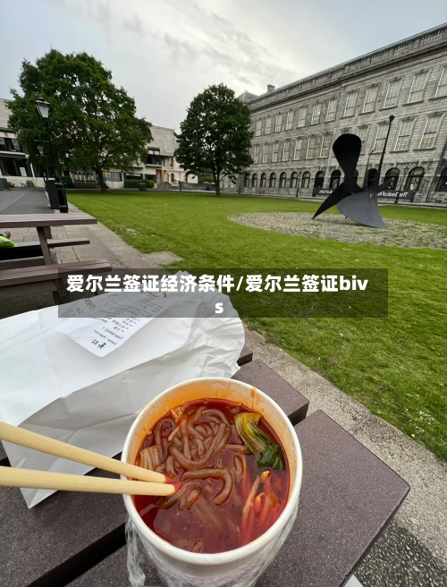 爱尔兰签证经济条件/爱尔兰签证bivs-第2张图片