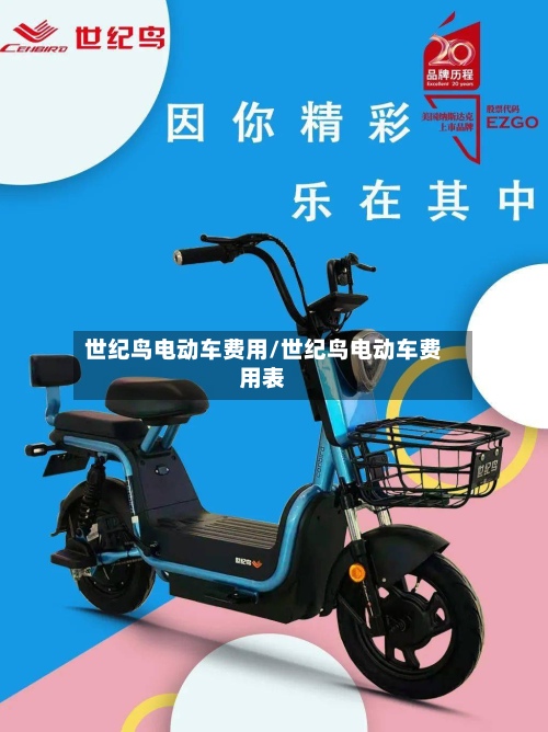 世纪鸟电动车费用/世纪鸟电动车费用表-第3张图片