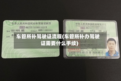 车管所补驾驶证流程(车管所补办驾驶证需要什么手续)