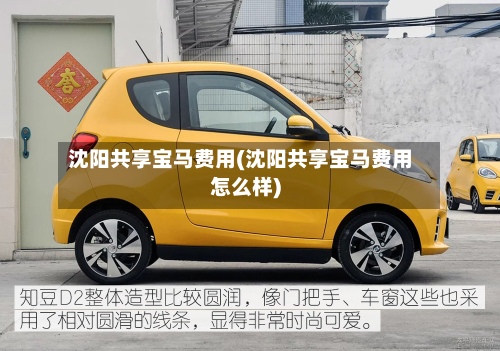 沈阳共享宝马费用(沈阳共享宝马费用怎么样)-第2张图片