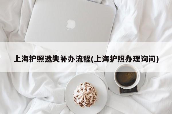 上海护照遗失补办流程(上海护照办理询问)