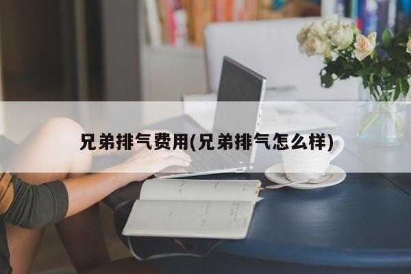 兄弟排气费用(兄弟排气怎么样)