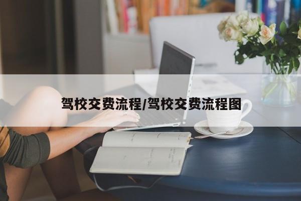 驾校交费流程/驾校交费流程图